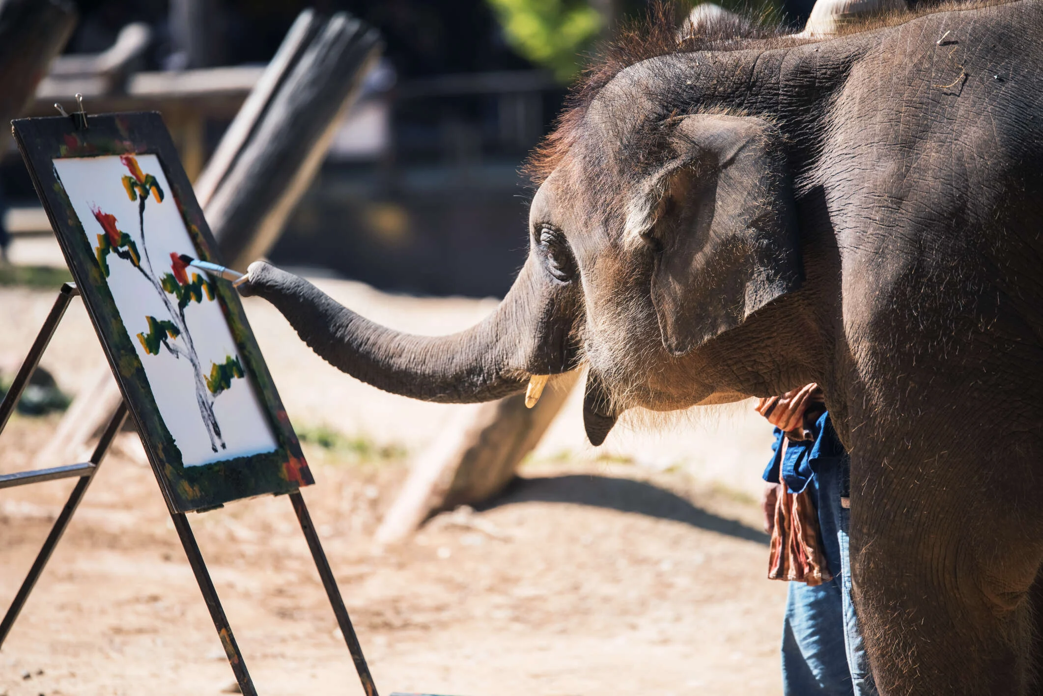Elephant painting with trunk on canvas depicting a tree. Outdoor setting, earthy colors. Observers in the background. Creative mood.